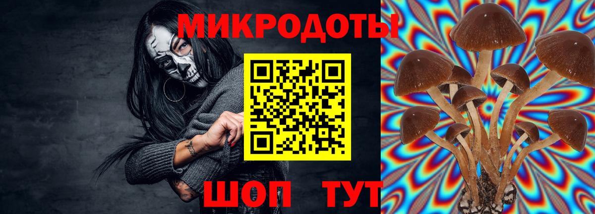 Галлюциногенные грибы мицелий  Вход с VPN  Коряжма 